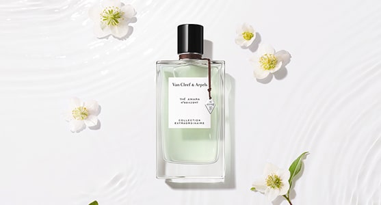 Van Cleff & Arpels Thé Amara