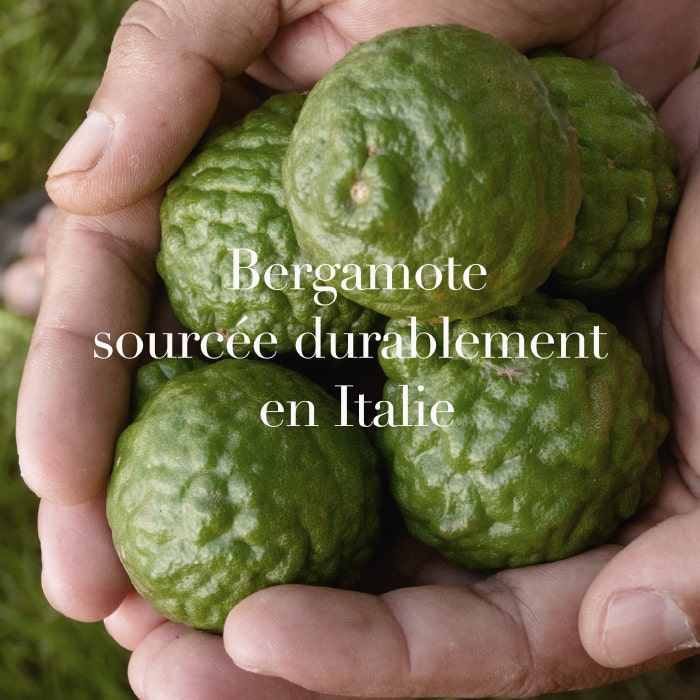 Bergamote sourcée durablement en Italie