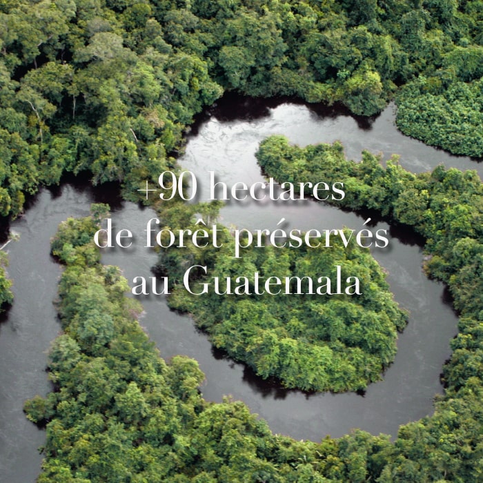 +90 hectares de forêt préservés en Guatemala