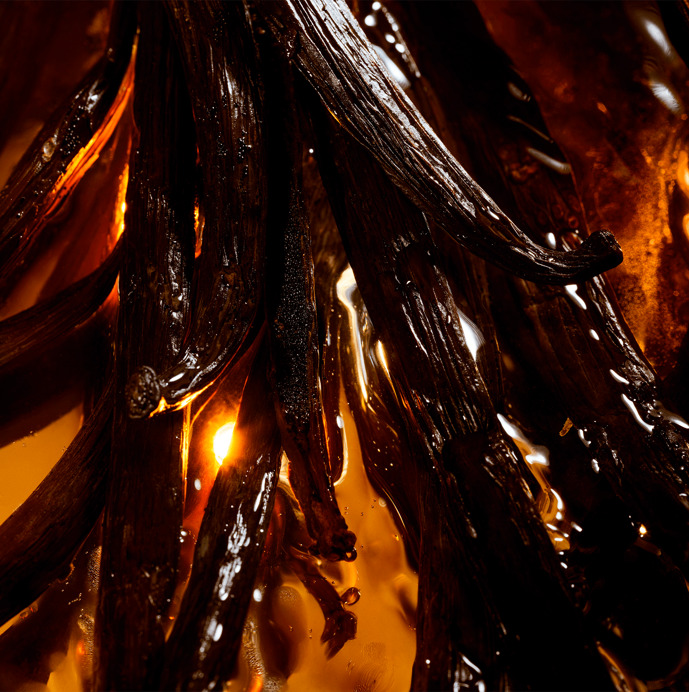 Nouveau Shalimar Vanille