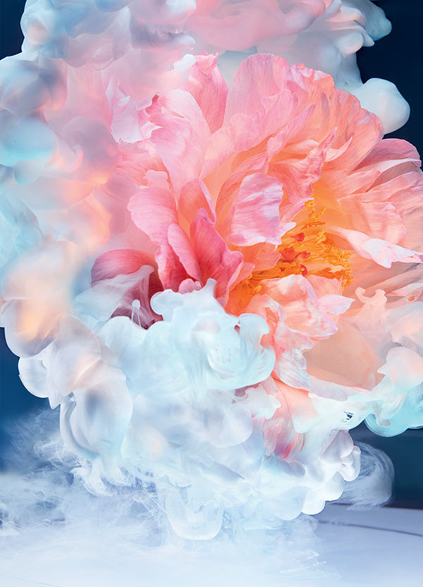 Dior parfum