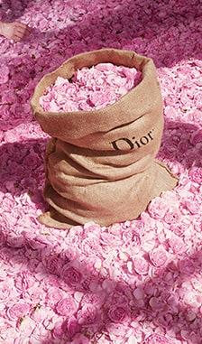Dior Grasse