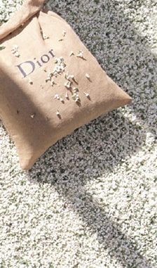 Dior Grasse