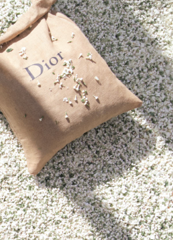 Dior Grasse