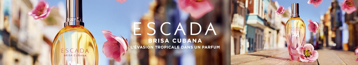 Escada