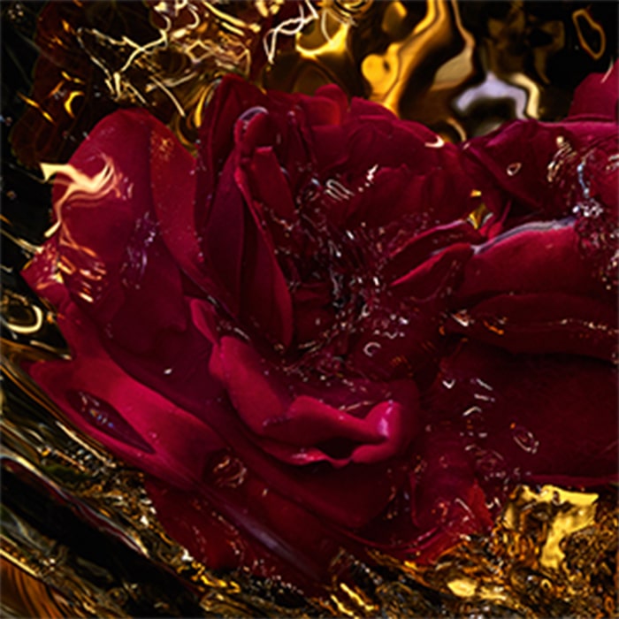 Une rose brodée de cuir
