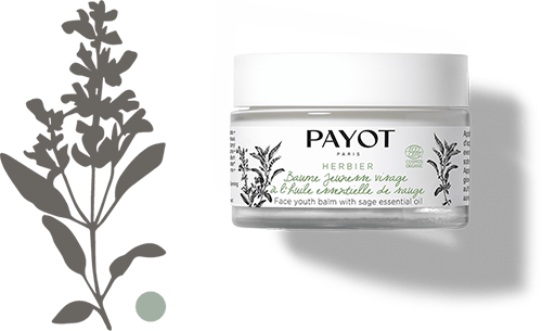 Payot Herbier Baume jeunesse