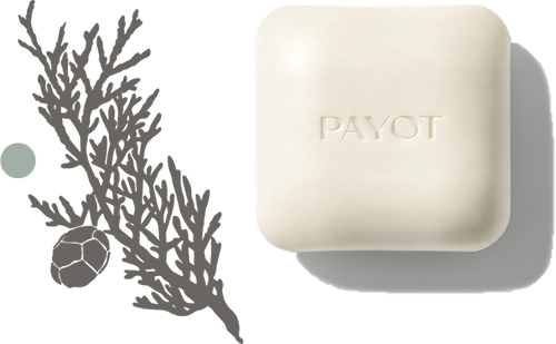 Payot Herbier pain nettoyant