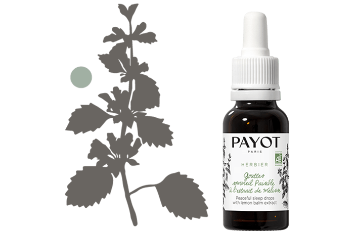 Payot Herbier gouttes sommeil