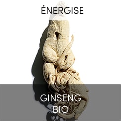 Ginseng