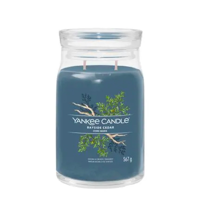 Yankee Cèdre Marins