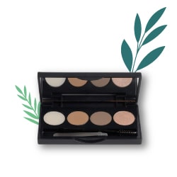 Kit Sourcils
