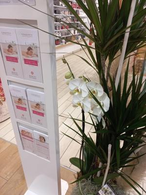 Beauty Success - Magasin Intérieur