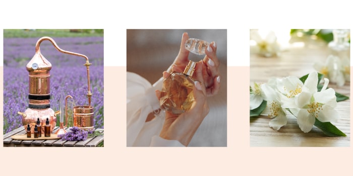 Le guide parfum