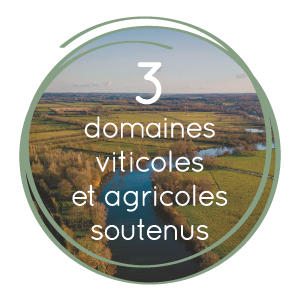 3 domaines viticoles et agricoles soutenus