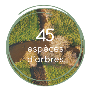 45 espèces d'arbres