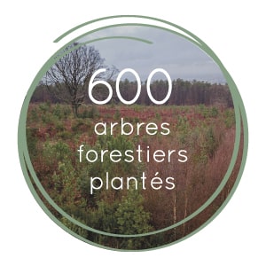 600 arbres forestiers plantés