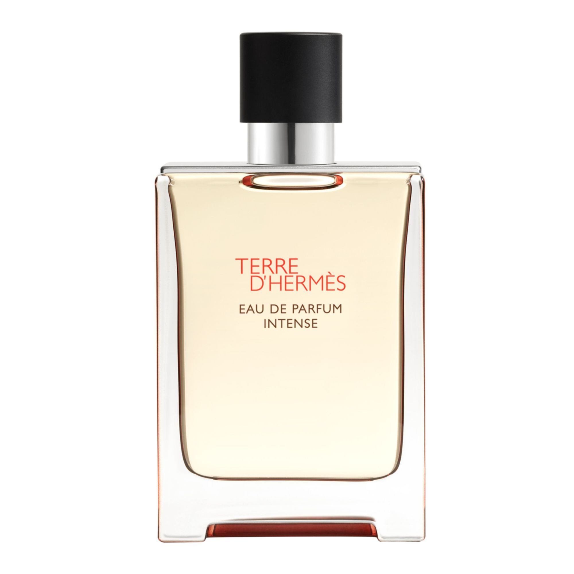 Hermès - Terre D'hermès Eau De Parfum Intense 100ml