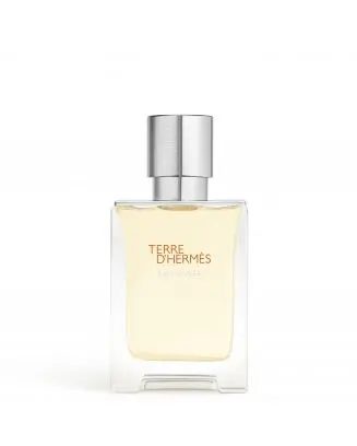 Terre d'Hermès Eau Givrée Eau de Parfum 