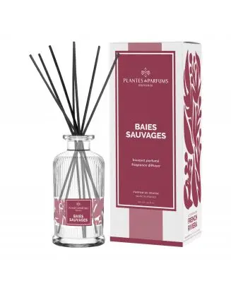 Baies Sauvages 200ml - PLANTES & PARFUMS - Accessoire - Visuel 1