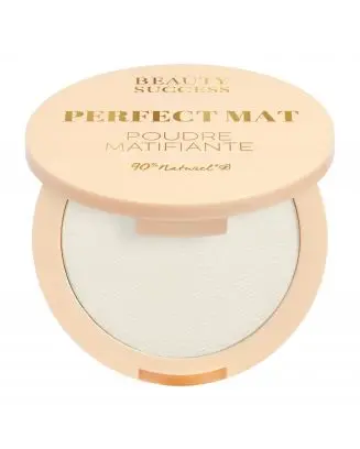 Perfect Mat Poudre Compacte Matifiante Invisible