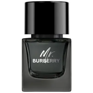 Mr. Burberry Eau de Parfum 50ml - Burberry - Parfum - Visuel 1