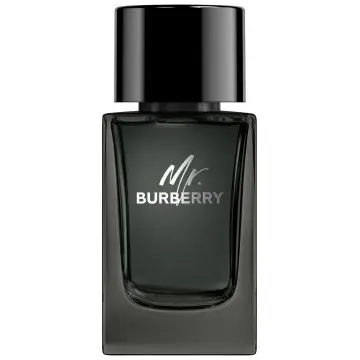 Mr. Burberry Eau de Parfum Vaporisateur 100ml - Burberry - Parfum - Visuel 1