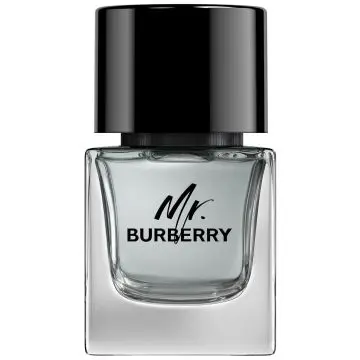 Mr. Burberry Eau de Toilette Vaporisateur 50ml - Burberry - Parfum - Visuel 1