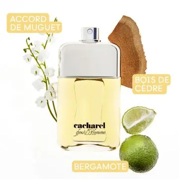 Pour Homme Eau de Toilette 100ml - Cacharel - Parfum - Visuel 2