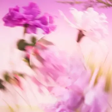 CHANCE EAU SPLENDIDE EAU DE PARFUM 100ML - CHANEL - Parfum - Visuel 4