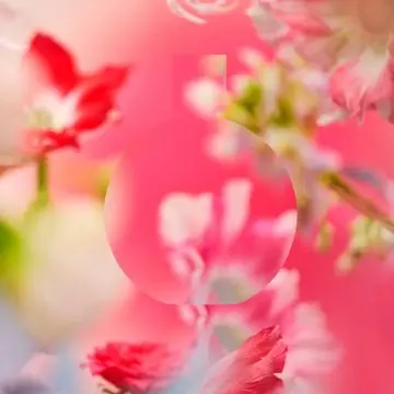 CHANCE EAU TENDRE EAU DE PARFUM VAPORISATEUR EAU DE PARFUM VAPORISATEUR  100ML - CHANEL - Parfum - Visuel 3