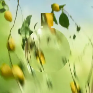 CHANCE EAU FRAÎCHE EAU DE PARFUM 100ml - CHANEL - Parfum - Visuel 3