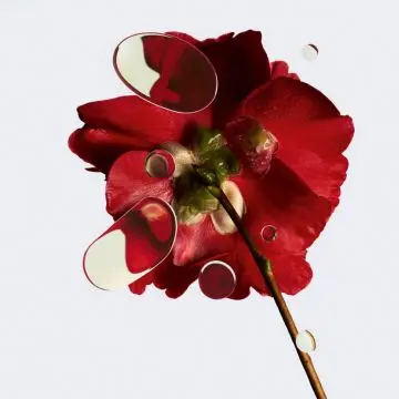 N°1 DE CHANEL L'EAU ROUGE FLACON 100ML - CHANEL - Parfum - Visuel 4