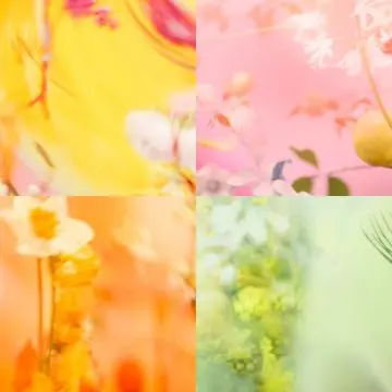 CHANCE EAU DE TOILETTE VAPORISATEUR VAPORISATEUR - 100 ML - CHANEL - Parfum - Visuel 4