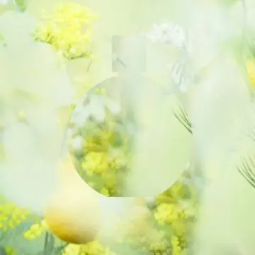 CHANCE EAU FRAÎCHE EAU DE TOILETTE VAPORISATEUR VAPORISATEUR - 100 ML - CHANEL - Parfum - Visuel 3