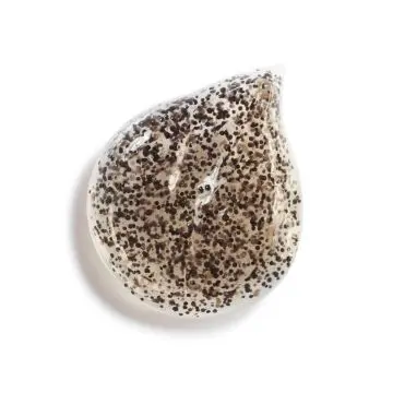 SUBLIMAGE LES GRAINS DE VANILLE SOIN EXFOLIANT DOUX ÉCLAT ET PURETÉ POT - 50G - CHANEL - Soin - Visuel 3