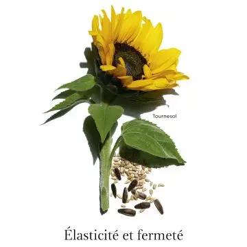 Extra-Firming Cou et Décolleté Soin jeunesse lift-regalbant 75ml - Clarins - Soin - Visuel 3