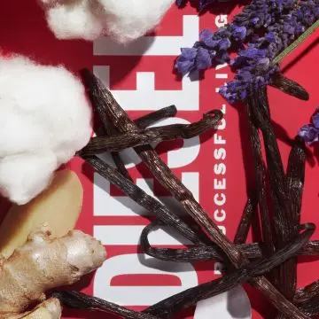 D by Diesel Eau De Toilette 100ml - Diesel - Parfum - Visuel 3