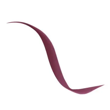 Diorshow Liquid Liner Eyeliner Feutre Ultra-Précis - Couleur Intense Waterproof 881 Satin Burgundy - Dior - Maquillage - Visuel 2