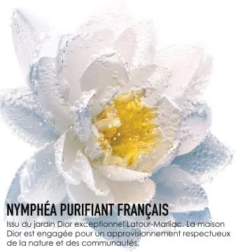 Le démaquillage au Nymphéa Le Lait Démaquillant visage et yeux - Lait micellaire purifiant 200 ml - Dior - Soin - Visuel 3