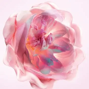 Miss Dior Crème Mains 50ml