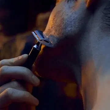 SAUVAGE Gel de rasage parfumé - Aide à protéger des irritations - haute précision  SAUVAGE Gel de rasage parfumé - Aide à protéger des irritations - haute précision