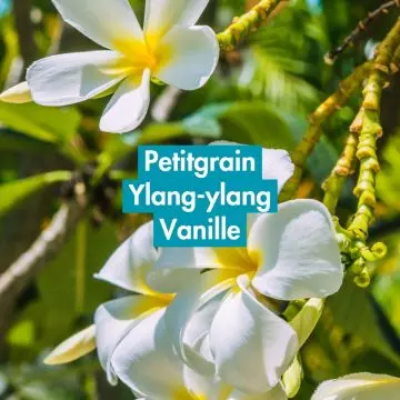Coffret Vanille Monoï Eau de parfum 100ml & Savon  - Les Senteurs Gourmandes - Parfum - Visuel 2