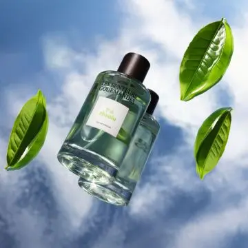 Thé Absolu  Eau de Parfum 100ml - Les Senteurs Gourmandes - Parfum - Visuel 2