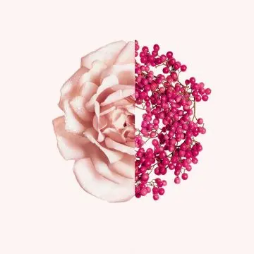 IRRESISTIBLE GIVENCHY - EAU DE TOILETTE FRAICHE Eau de Toilette Vaporisateur 80ml - Givenchy - Parfum - Visuel 2