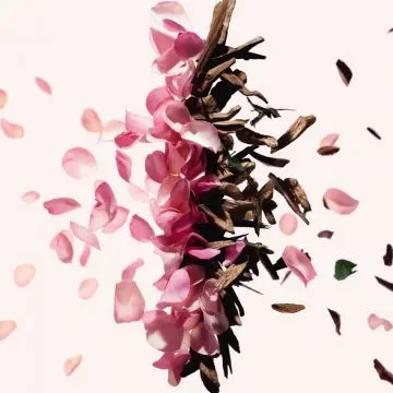 Irresistible Givenchy Huile Bain et Douche 