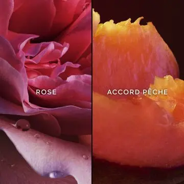 NAHEMA Nouvelle Collection Eau de Parfum 75ml - Guerlain - Parfum - Visuel 2