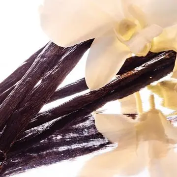 Shalimar Eau de Parfum 50ml - Guerlain - Parfum - Visuel 2