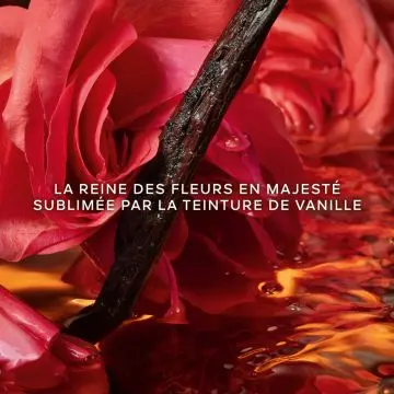 Shalimar Millésime Rose Eau de Parfum Édition Limitée 50ml - Guerlain - Parfum - Visuel 2