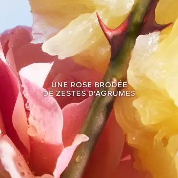 La Petite Robe Noire Eau de Toilette 100ml - Guerlain - Parfum - Visuel 2